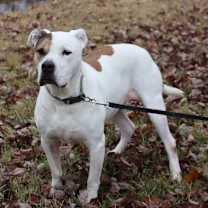 Thumbnail photo of Macy #2