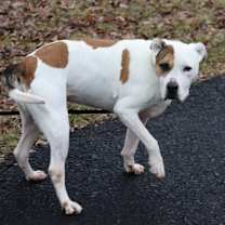 Thumbnail photo of Macy #4