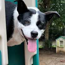 Thumbnail photo of Hazel #3