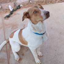 Thumbnail photo of Whitman #1