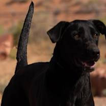 Thumbnail photo of Richard #1