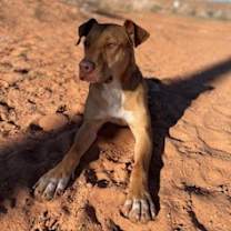 Thumbnail photo of JJ #4