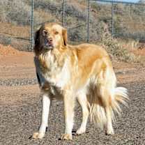 Thumbnail photo of Sandy #1