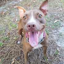 Thumbnail photo of Delilah #1