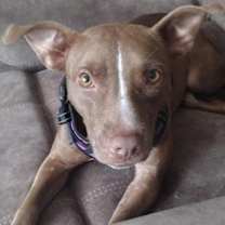 Thumbnail photo of Delilah #2