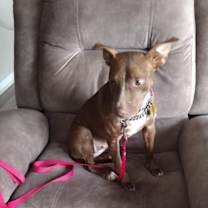 Thumbnail photo of Delilah #3