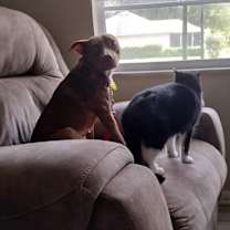 Thumbnail photo of Delilah #4