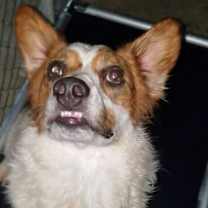 Thumbnail photo of Diego #2