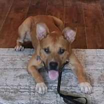Thumbnail photo of Mako #3