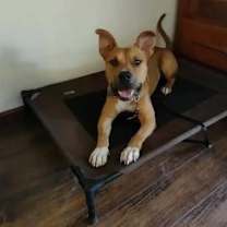 Thumbnail photo of Mako #4
