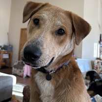 Thumbnail photo of Wylie #2