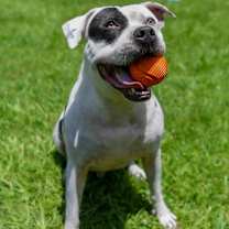 Thumbnail photo of Barry #3