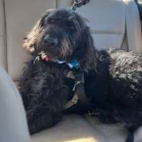 Thumbnail photo of Cash #2