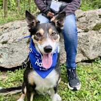 Thumbnail photo of Bella #1