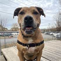 Thumbnail photo of Candy #2