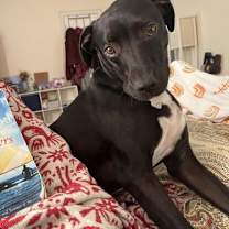 Thumbnail photo of Otis #2