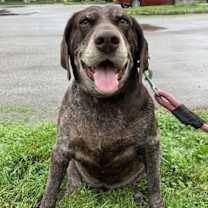 Thumbnail photo of Remi #1