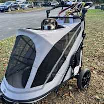 Thumbnail photo of Remi #2