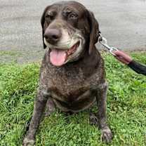 Thumbnail photo of Remi #3