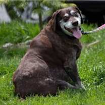 Thumbnail photo of Remi #4