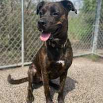 Thumbnail photo of Lola #1