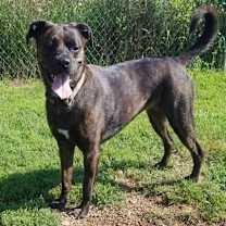 Thumbnail photo of Lola #3