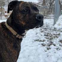 Thumbnail photo of Lola #4