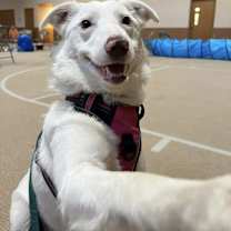 Thumbnail photo of Tina (aka Eowyn) #2