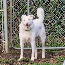 Thumbnail photo of Tina (aka Eowyn) #4