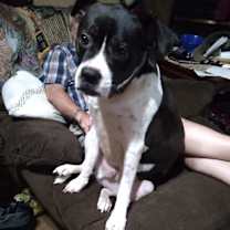 Thumbnail photo of Howie #2