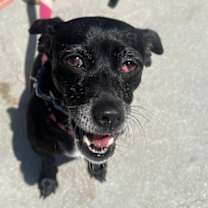 Thumbnail photo of Minnie #1