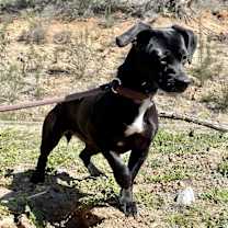 Thumbnail photo of Minnie #4