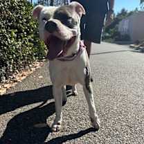 Thumbnail photo of Pink #3