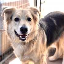 Thumbnail photo of Six #1