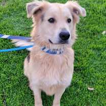 Thumbnail photo of Six #3