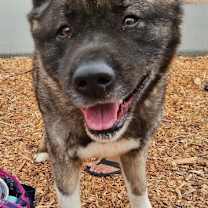 Thumbnail photo of Kito #1