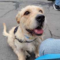 Thumbnail photo of Falcor #2