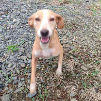 Thumbnail photo of Isabella #1