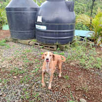 Thumbnail photo of Isabella #3