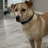Thumbnail photo of Riley #2