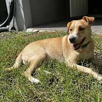 Thumbnail photo of Riley #4