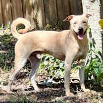 Thumbnail photo of Mariano #1