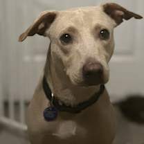 Thumbnail photo of Mariano #2