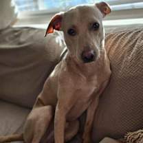 Thumbnail photo of Mariano #3