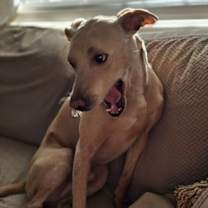 Thumbnail photo of Mariano #4