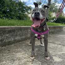 Thumbnail photo of Luna #1