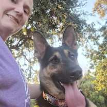 Thumbnail photo of Felix #3