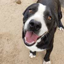 Thumbnail photo of Buster Brown #2