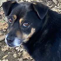 Thumbnail photo of Marco #1