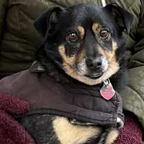 Thumbnail photo of Marco #2